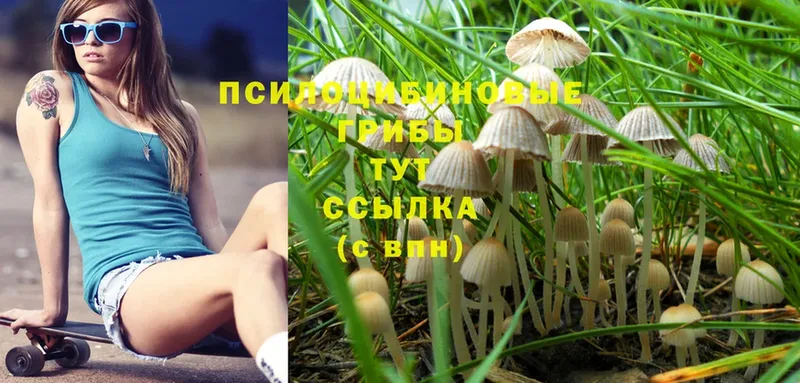 MEGA зеркало  Серов  Галлюциногенные грибы Magic Shrooms  что такое  